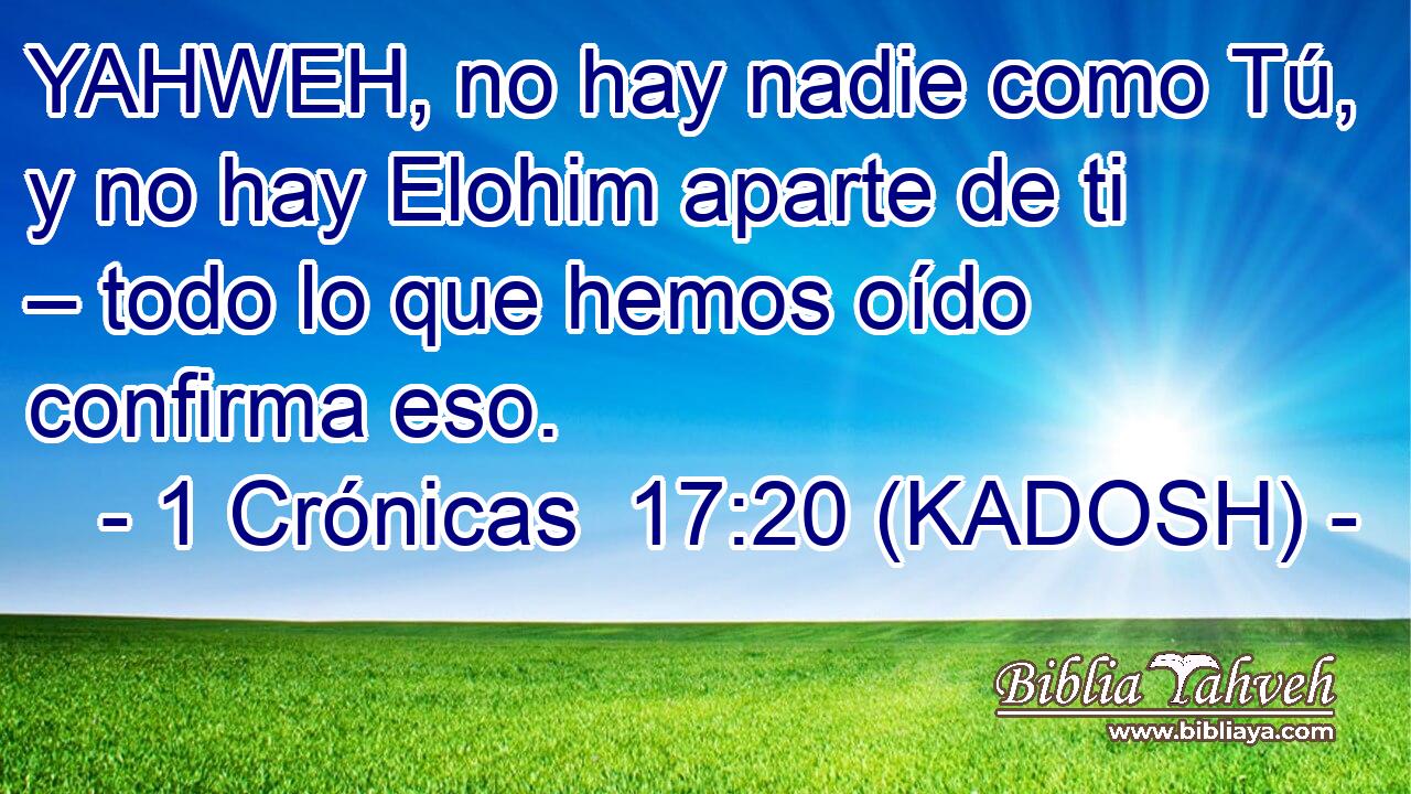  YAHWEH, no hay nadie como Tú, y no hay Elohim aparte de ti – todo lo que hemos oído confirma eso. 