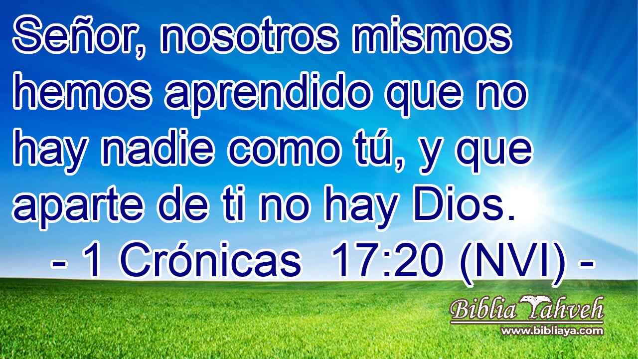  Señor, nosotros mismos hemos aprendido que no hay nadie como tú, y que aparte de ti no hay Dios. 