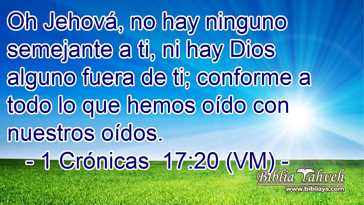 Oh Jehová, no hay ninguno semejante a ti, ni hay Dios alguno fuera de ti; conforme a todo lo que hemos oído con nuestros oídos. 