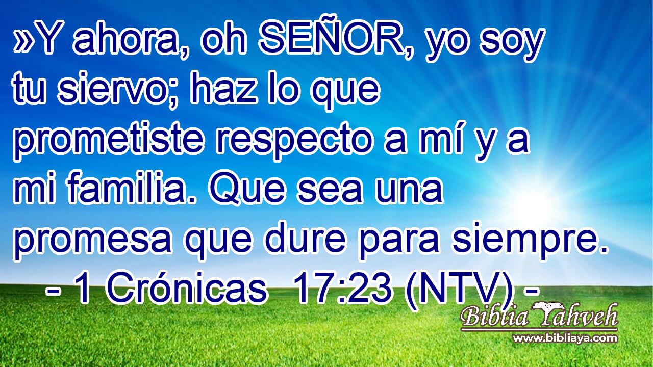 »Y ahora, oh SEÑOR, yo soy tu siervo; haz lo que prometiste respecto a mí y a mi familia. Que sea una promesa que dure para siempre.