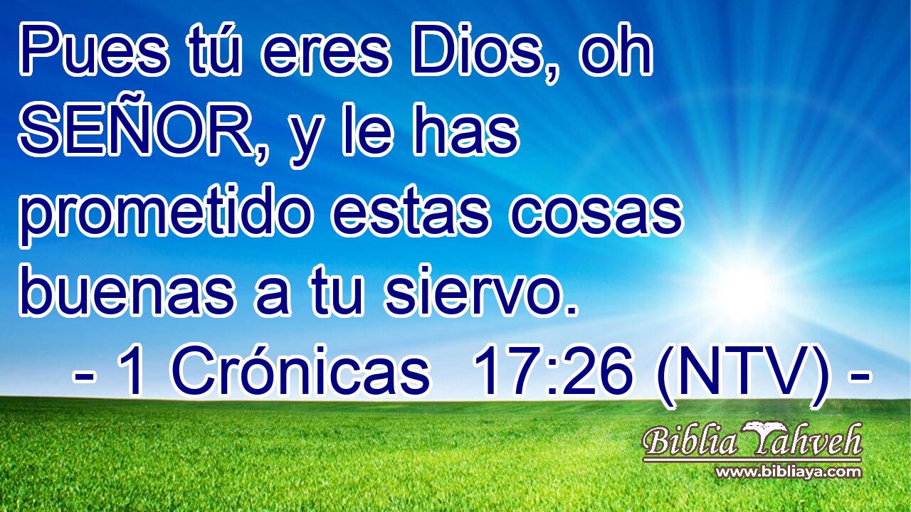 Pues tú eres Dios, oh SEÑOR, y le has prometido estas cosas buenas a tu siervo.