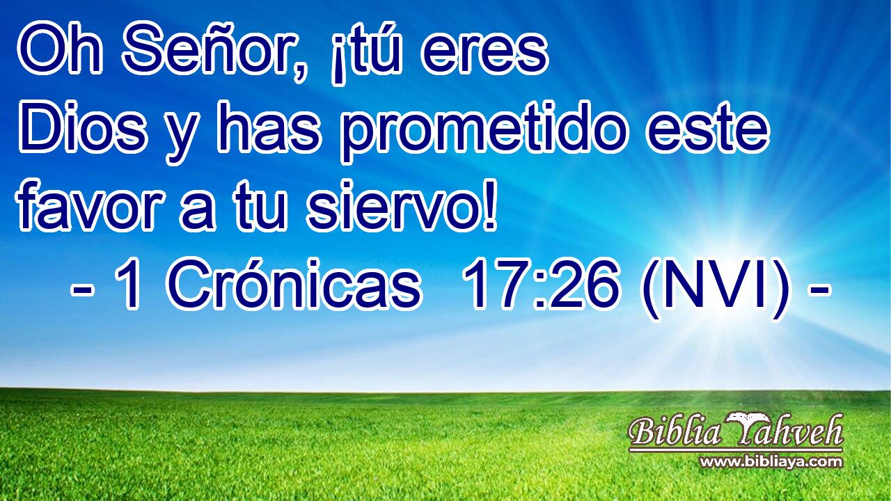  Oh Señor, ¡tú eres Dios y has prometido este favor a tu siervo! 