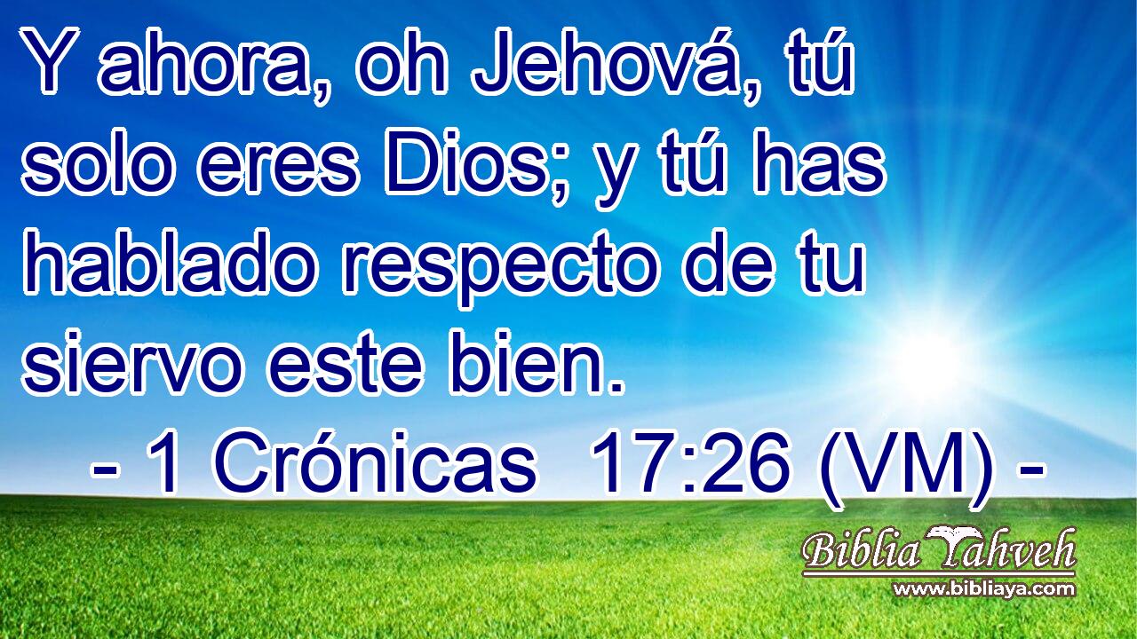  Y ahora, oh Jehová, tú solo eres Dios; y tú has hablado respecto de tu siervo este bien. 