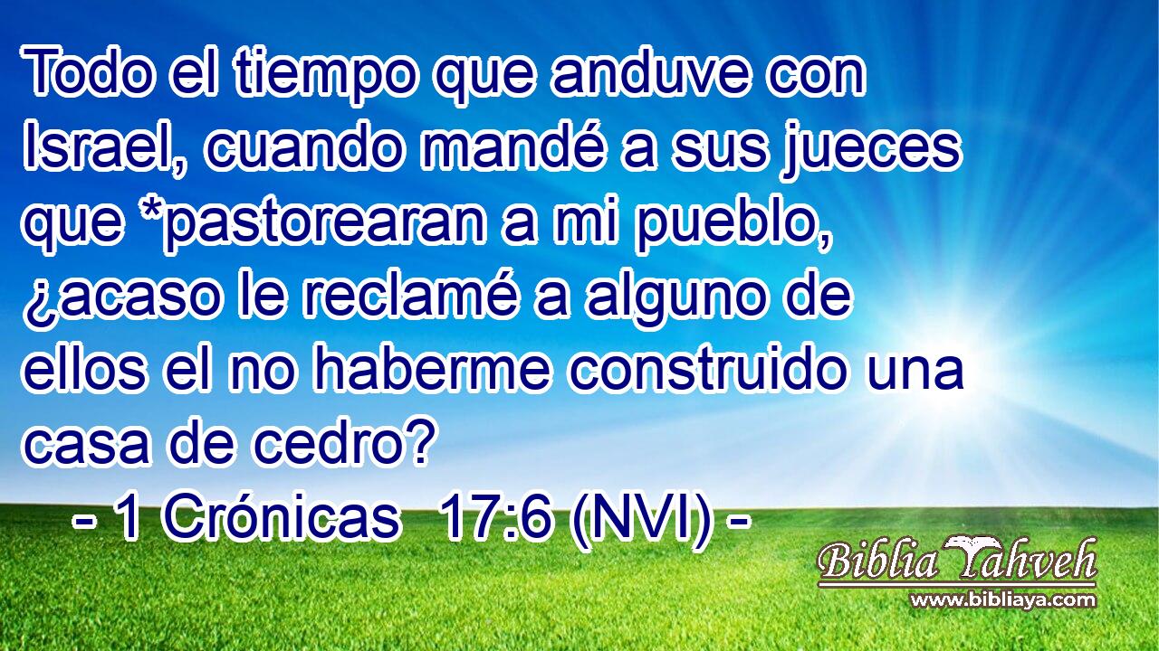  Todo el tiempo que anduve con Israel, cuando mandé a sus jueces que *pastorearan a mi pueblo, ¿acaso le reclamé a alguno de ellos el no haberme construido una casa de cedro? 