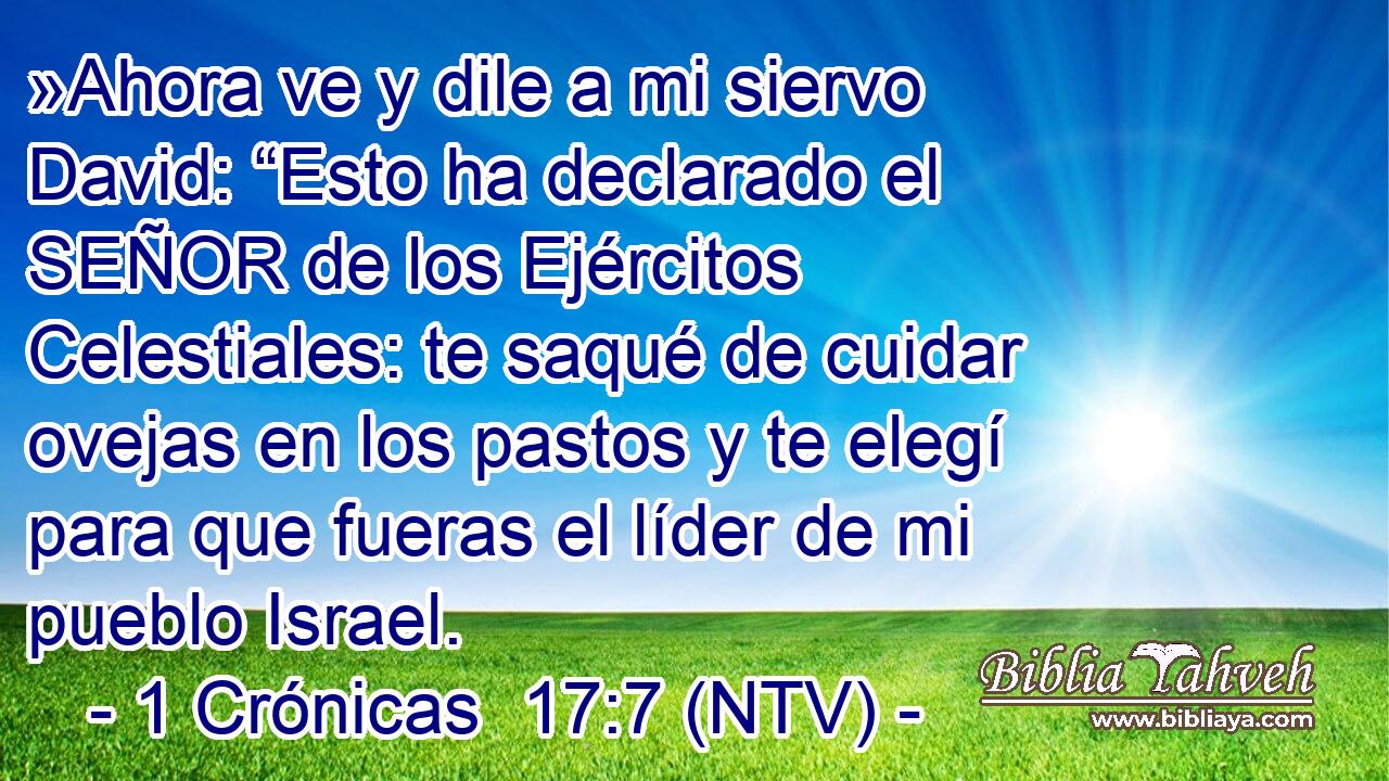 »Ahora ve y dile a mi siervo David: “Esto ha declarado el SEÑOR de los Ejércitos Celestiales: te saqué de cuidar ovejas en los pastos y te elegí para que fueras el líder de mi pueblo Israel.
