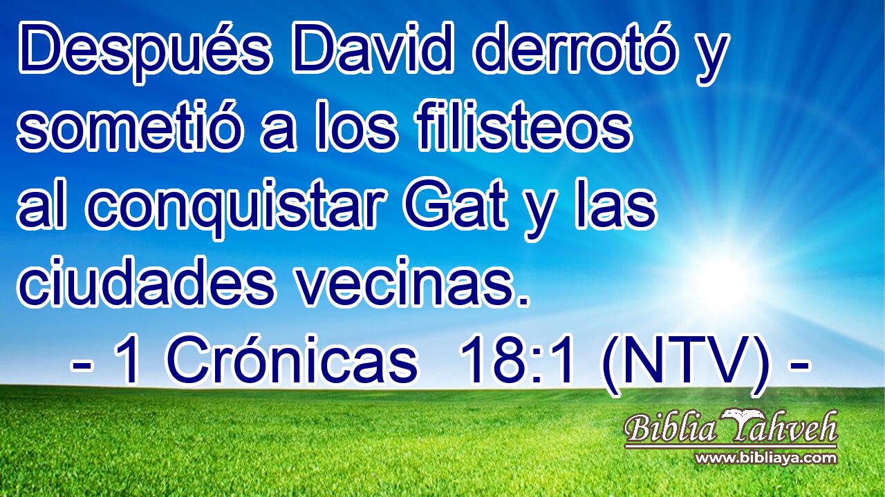 Después David derrotó y sometió a los filisteos al conquistar Gat y las ciudades vecinas.