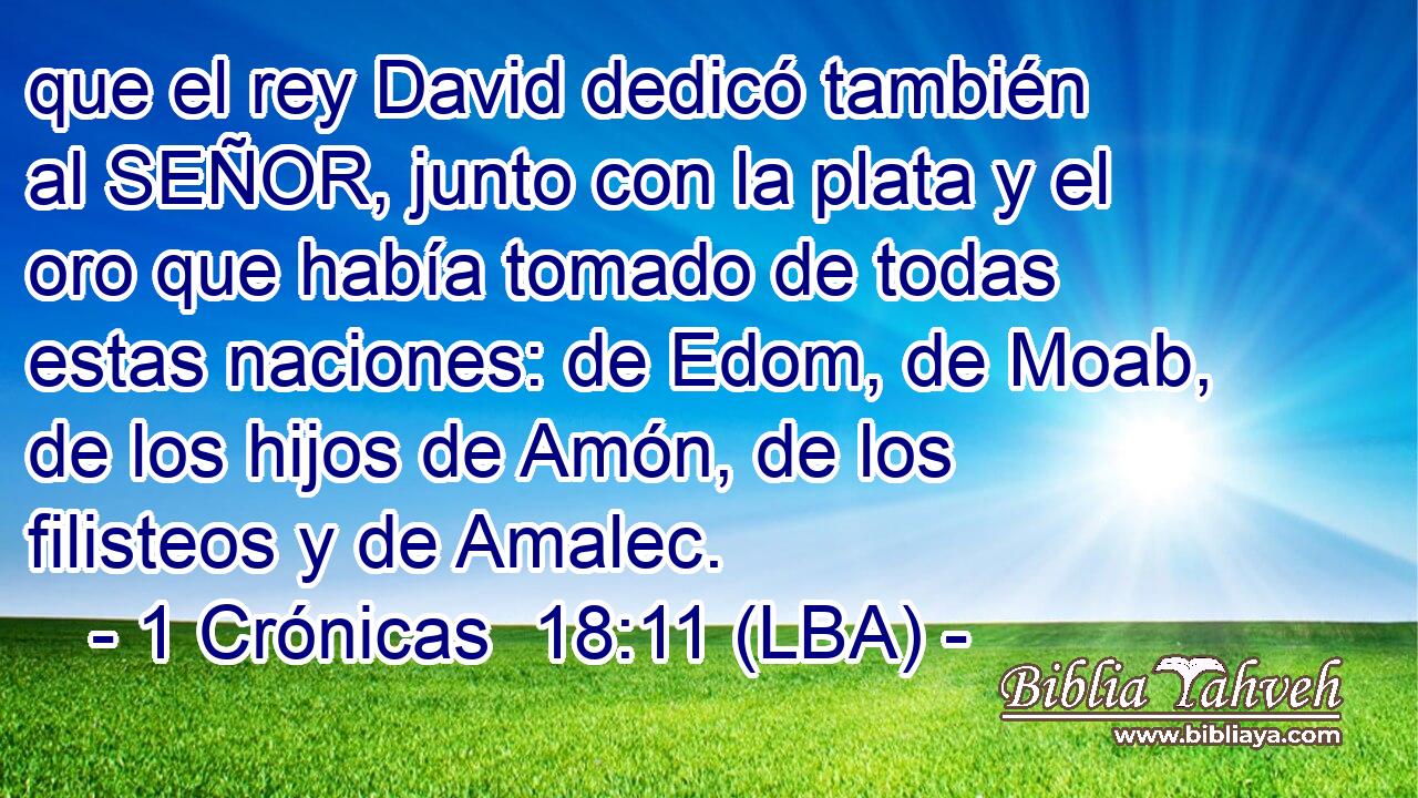 que el rey David dedicó también al SEÑOR, junto con la plata y el oro que había tomado de todas estas naciones: de Edom, de Moab, de los hijos de Amón, de los filisteos y de Amalec.