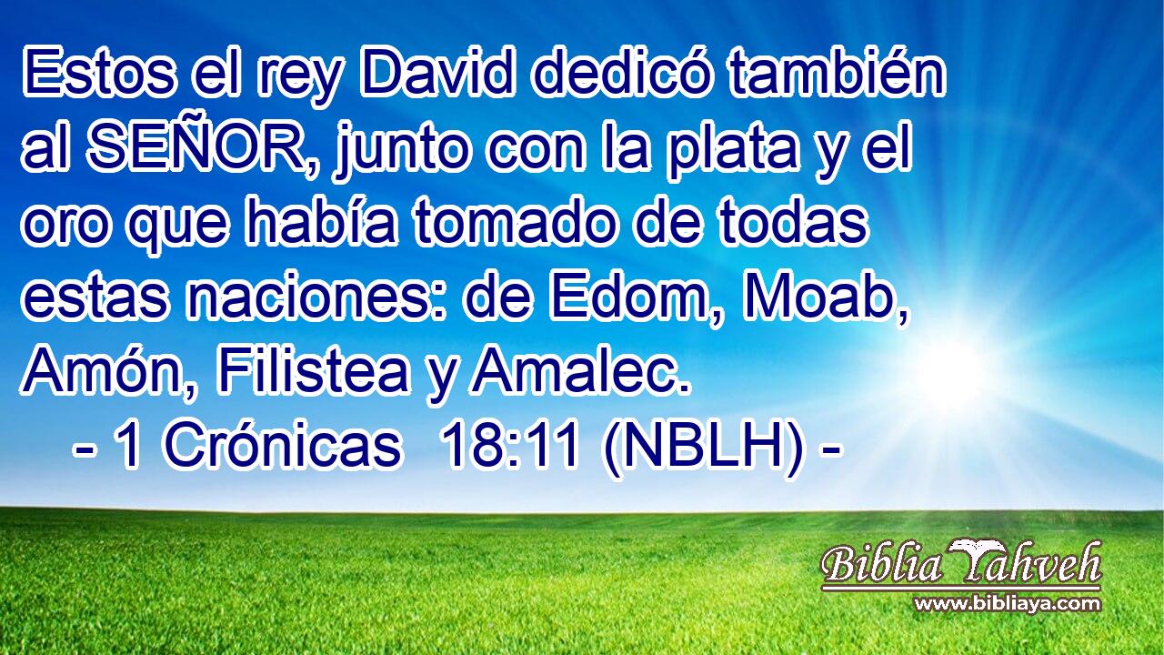  Estos el rey David dedicó también al SEÑOR, junto con la plata y el oro que había tomado de todas estas naciones: de Edom, Moab, Amón, Filistea y Amalec. 