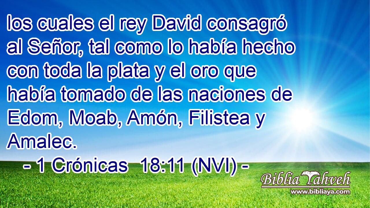  los cuales el rey David consagró al Señor, tal como lo había hecho con toda la plata y el oro que había tomado de las naciones de Edom, Moab, Amón, Filistea y Amalec. 
