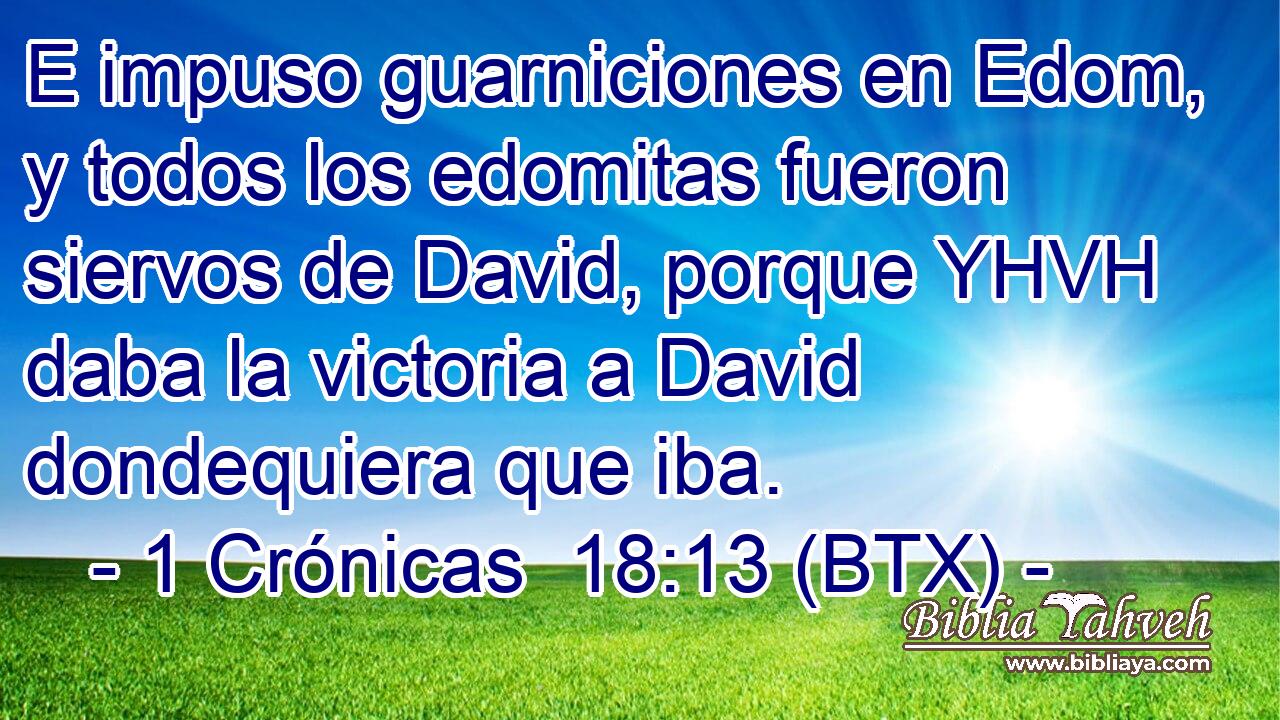 E impuso guarniciones en Edom, y todos los edomitas fueron siervos de David, porque YHVH daba la victoria a David dondequiera que iba.