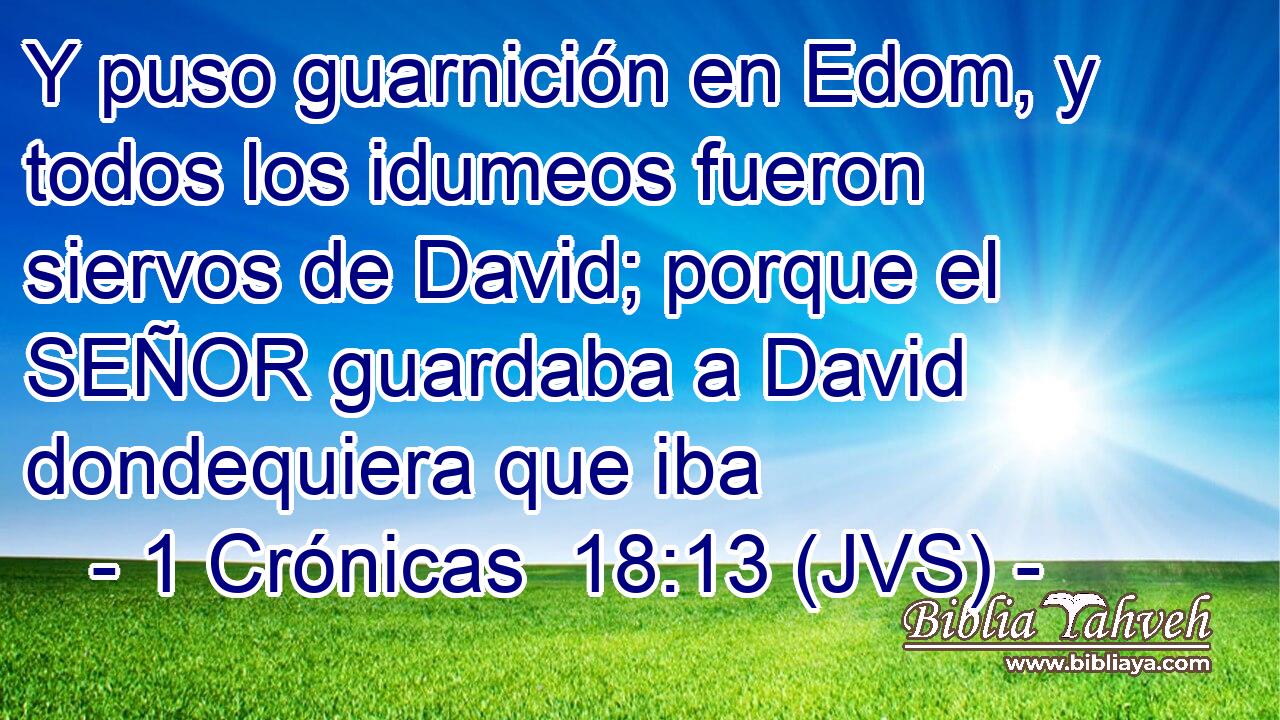 Y puso guarnición en Edom, y todos los idumeos fueron siervos de David; porque el SEÑOR guardaba a David dondequiera que iba