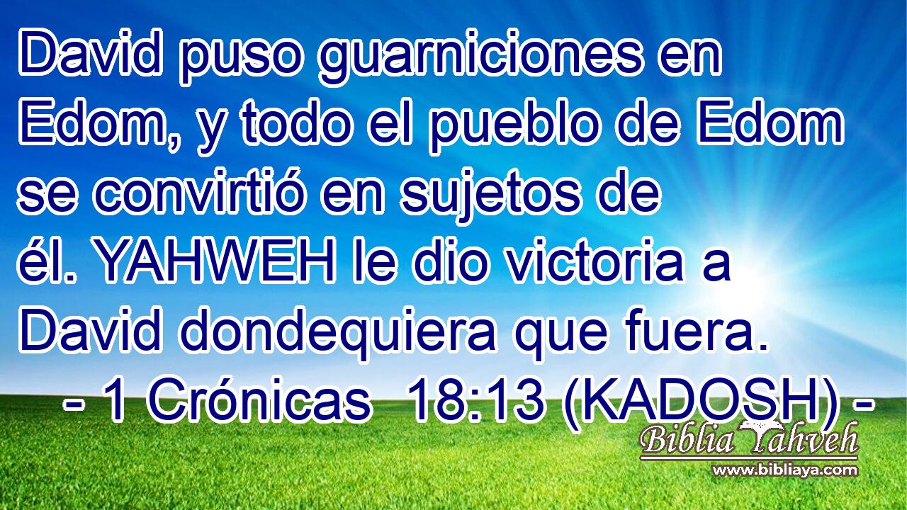  David puso guarniciones en Edom, y todo el pueblo de Edom se convirtió en sujetos de él. YAHWEH le dio victoria a David dondequiera que fuera. 