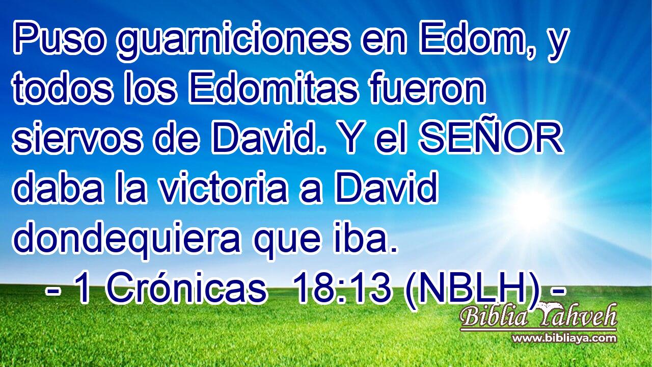  Puso guarniciones en Edom, y todos los Edomitas fueron siervos de David. Y el SEÑOR daba la victoria a David dondequiera que iba. 