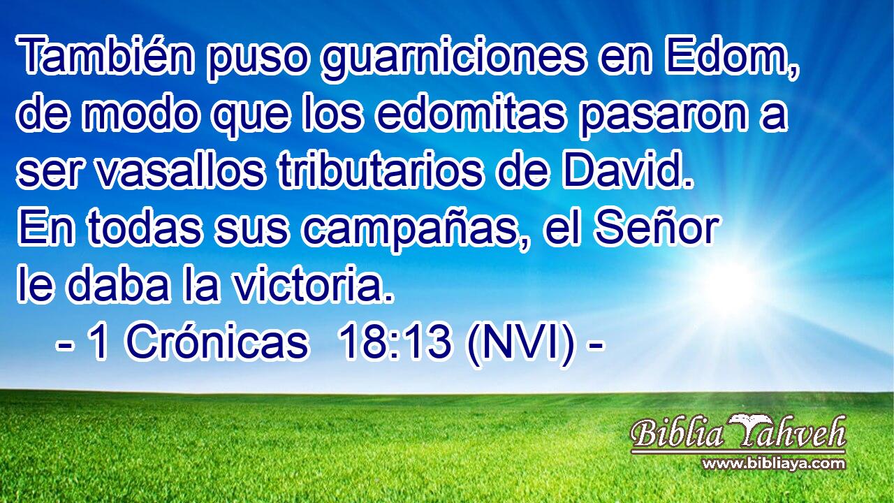  También puso guarniciones en Edom, de modo que los edomitas pasaron a ser vasallos tributarios de David. En todas sus campañas, el Señor le daba la victoria. 