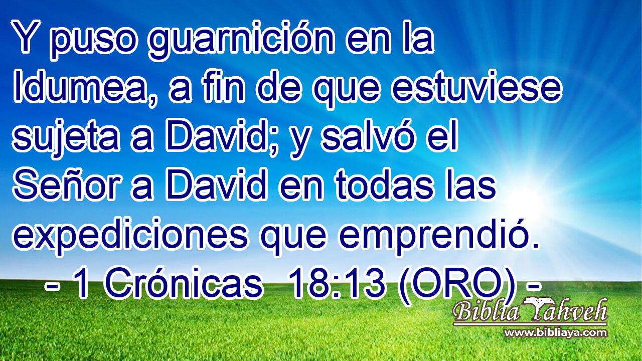  Y puso guarnición en la Idumea, a fin de que estuviese sujeta a David; y salvó el Señor a David en todas las expediciones que emprendió. 