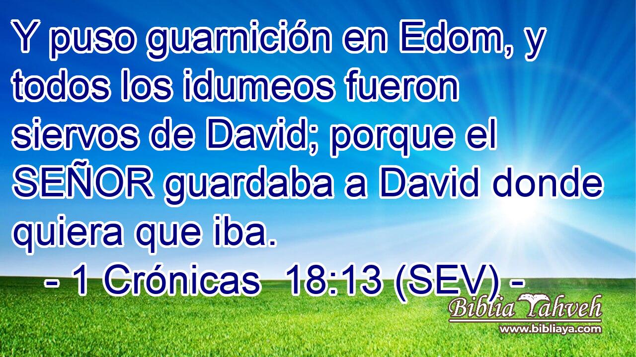 Y puso guarnición en Edom, y todos los idumeos fueron siervos de David; porque el SEÑOR guardaba a David donde quiera que iba.