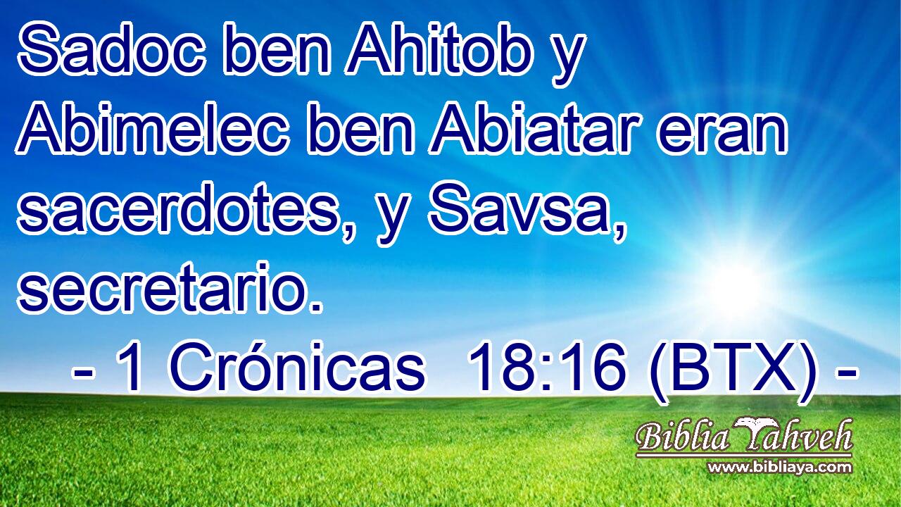 Sadoc ben Ahitob y Abimelec ben Abiatar eran sacerdotes, y Savsa, secretario.
