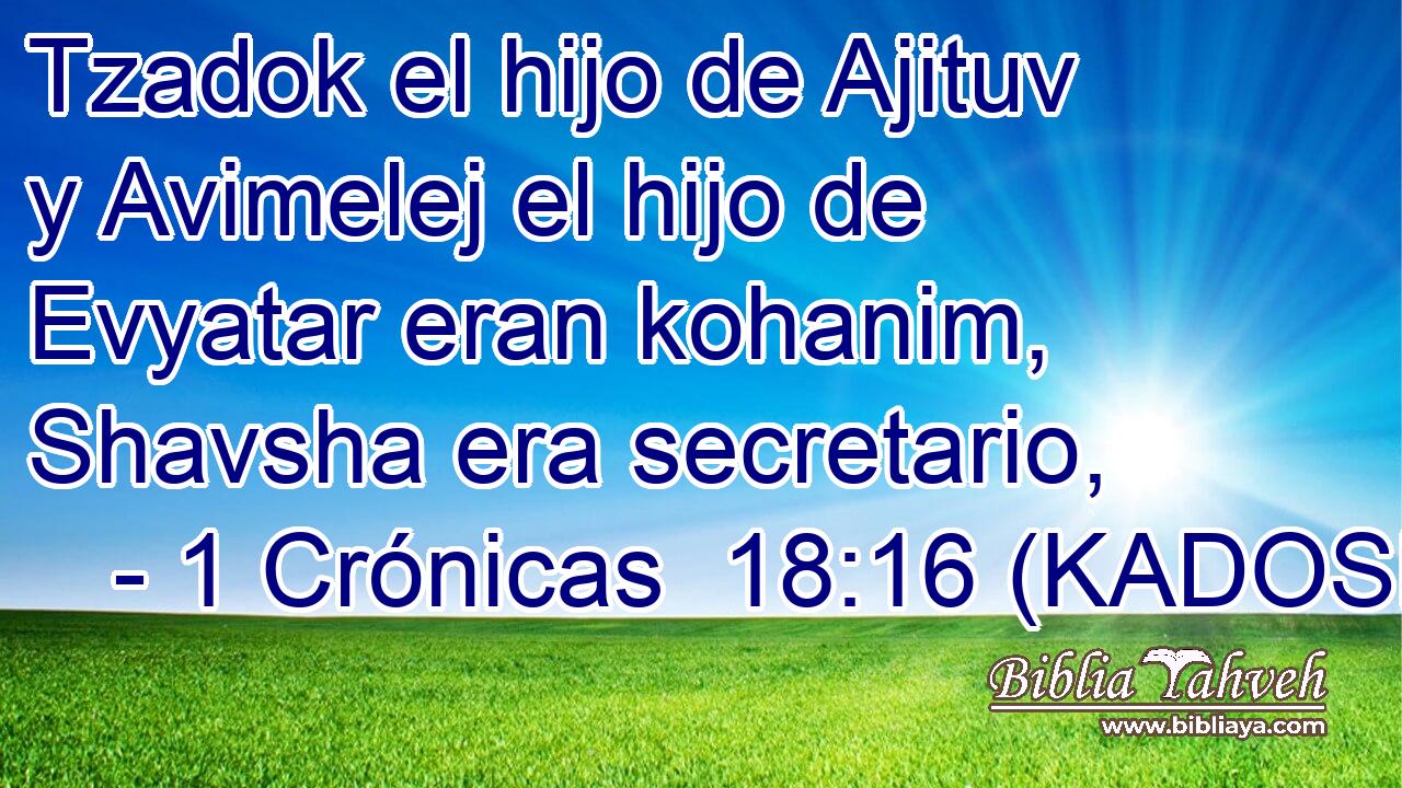  Tzadok el hijo de Ajituv y Avimelej el hijo de Evyatar eran kohanim, Shavsha era secretario, 