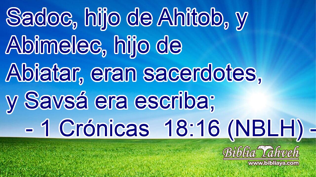  Sadoc, hijo de Ahitob, y Abimelec, hijo de Abiatar, eran sacerdotes, y Savsá era escriba; 