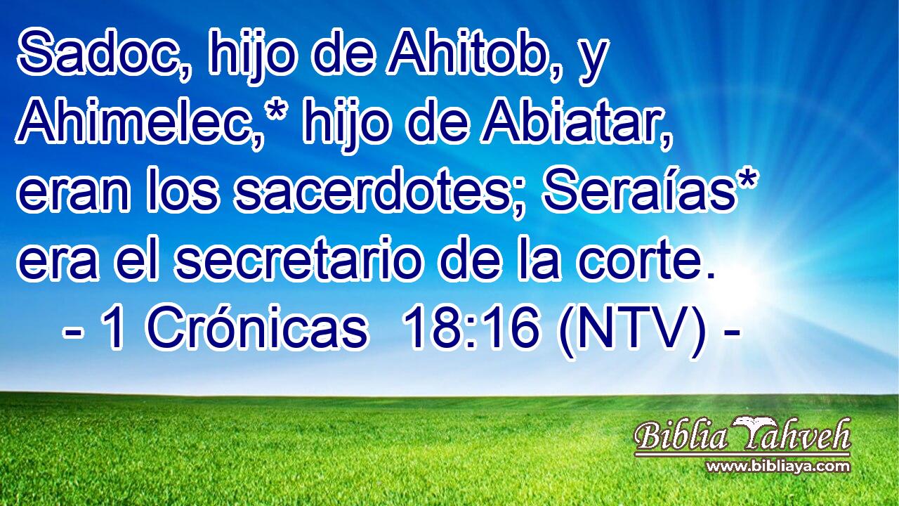 Sadoc, hijo de Ahitob, y Ahimelec,* hijo de Abiatar, eran los sacerdotes; Seraías* era el secretario de la corte.