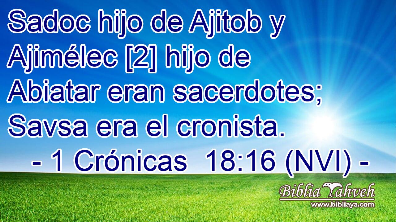  Sadoc hijo de Ajitob y Ajimélec [2] hijo de Abiatar eran sacerdotes; Savsa era el cronista. 