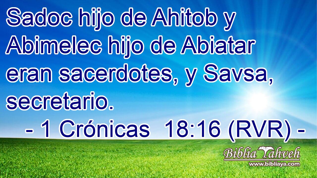 Sadoc hijo de Ahitob y Abimelec hijo de Abiatar eran sacerdotes, y Savsa, secretario.