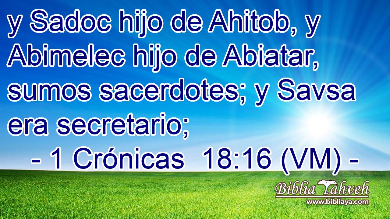  y Sadoc hijo de Ahitob, y Abimelec hijo de Abiatar, sumos sacerdotes; y Savsa era secretario; 