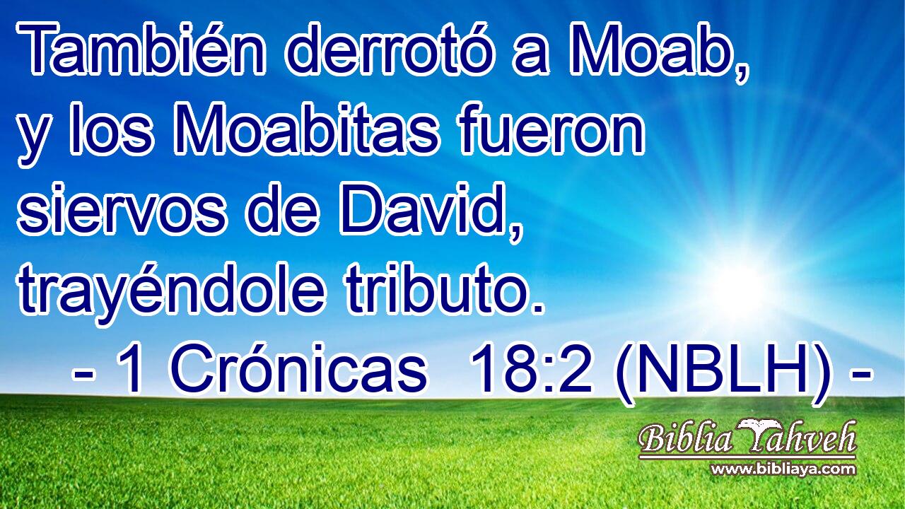 También derrotó a Moab, y los Moabitas fueron siervos de David, trayéndole tributo. 