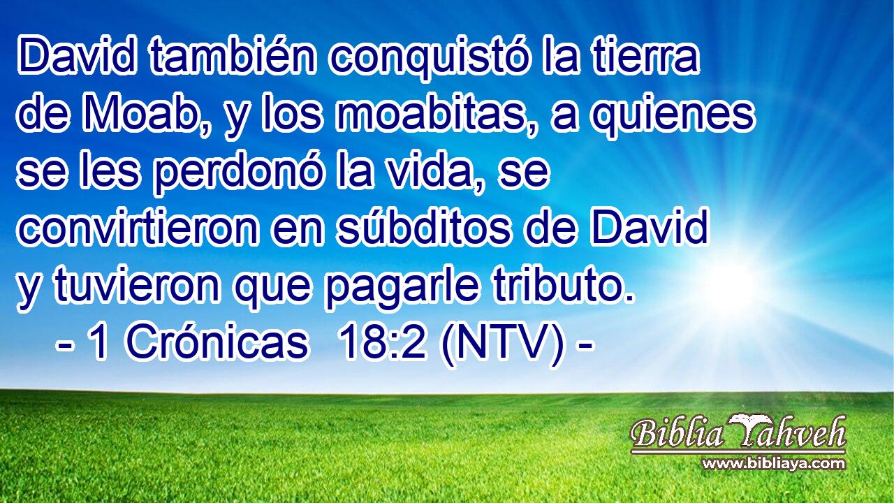 David también conquistó la tierra de Moab, y los moabitas, a quienes se les perdonó la vida, se convirtieron en súbditos de David y tuvieron que pagarle tributo.