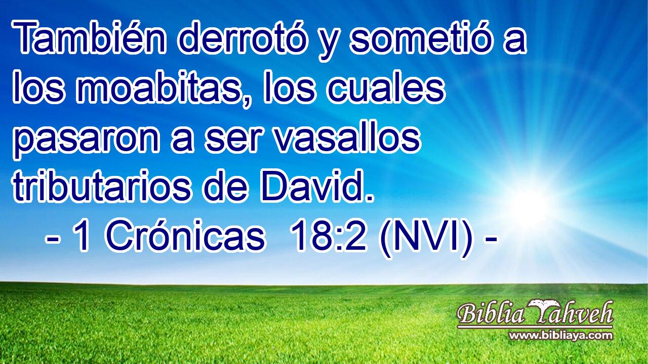  También derrotó y sometió a los moabitas, los cuales pasaron a ser vasallos tributarios de David. 