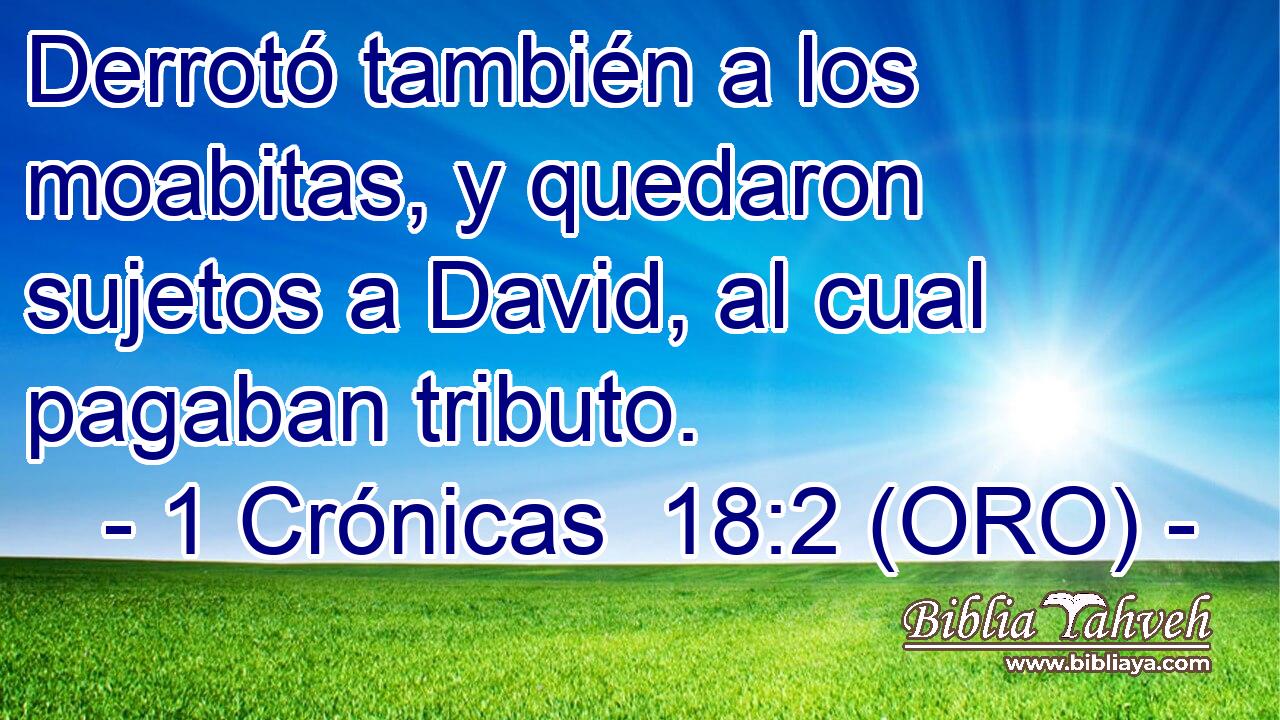  Derrotó también a los moabitas, y quedaron sujetos a David, al cual pagaban tributo. 