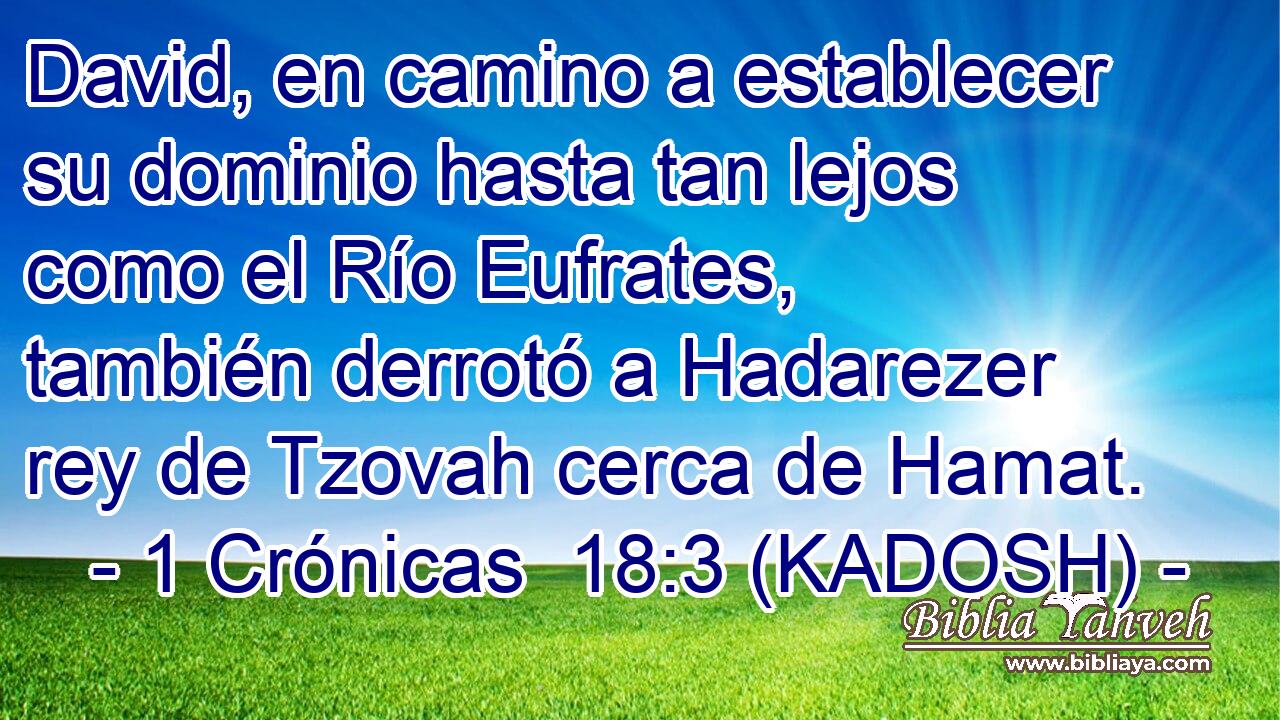  David, en camino a establecer su dominio hasta tan lejos como el Río Eufrates, también derrotó a Hadarezer rey de Tzovah cerca de Hamat. 
