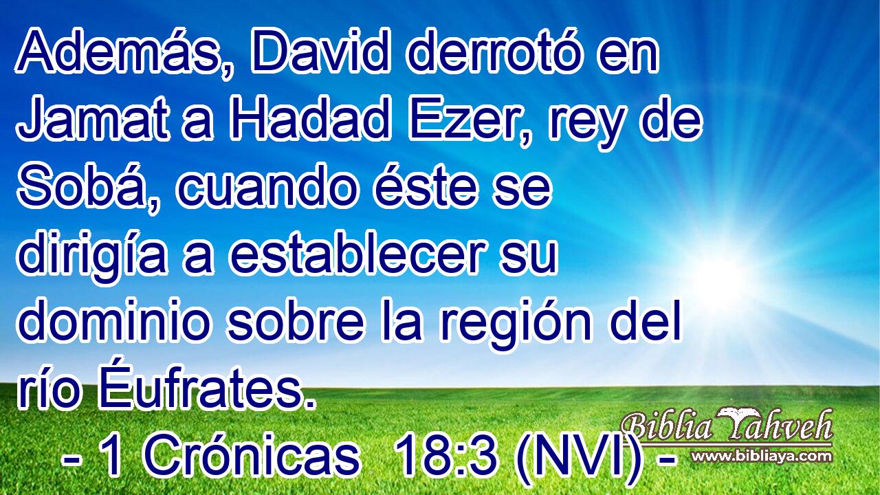  Además, David derrotó en Jamat a Hadad Ezer, rey de Sobá, cuando éste se dirigía a establecer su dominio sobre la región del río Éufrates. 
