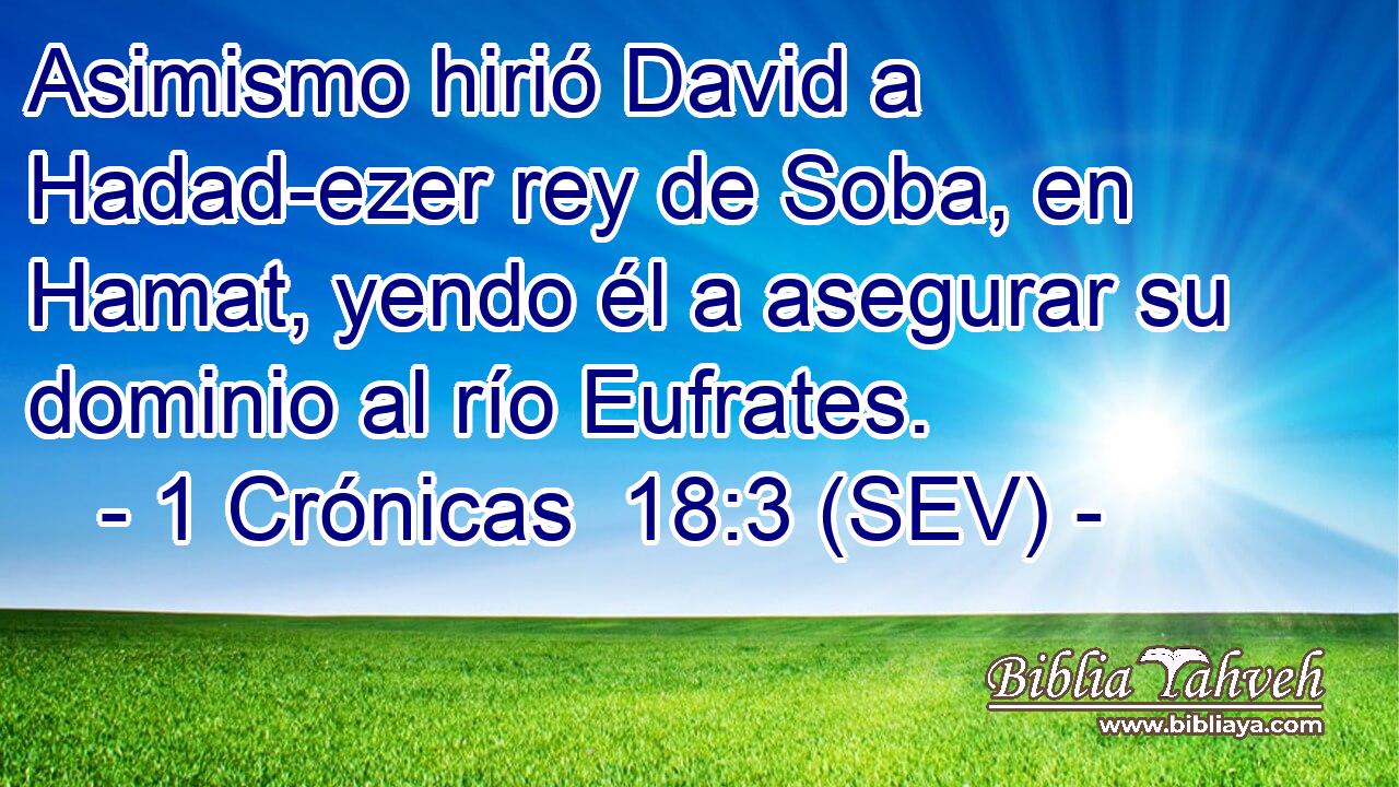 Asimismo hirió David a Hadad-ezer rey de Soba, en Hamat, yendo él a asegurar su dominio al río Eufrates.