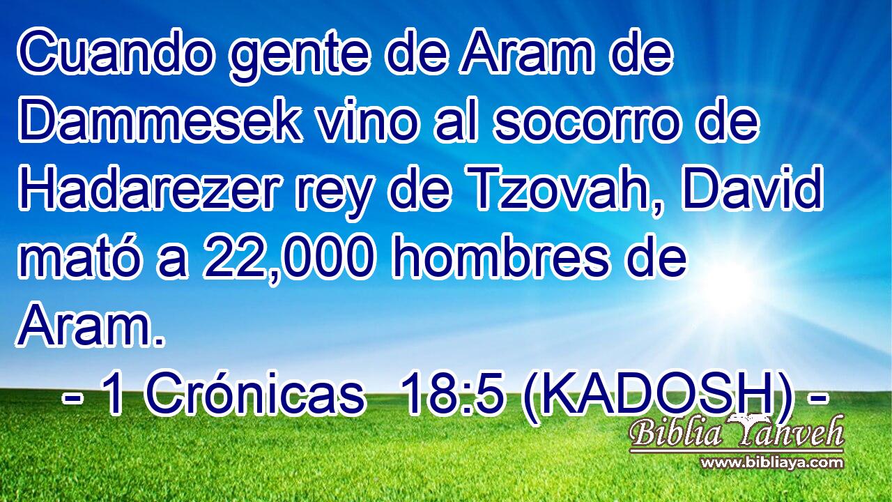  Cuando gente de Aram de Dammesek vino al socorro de Hadarezer rey de Tzovah, David mató a 22,000 hombres de Aram. 
