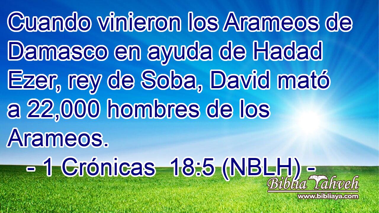  Cuando vinieron los Arameos de Damasco en ayuda de Hadad Ezer, rey de Soba, David mató a 22,000 hombres de los Arameos. 