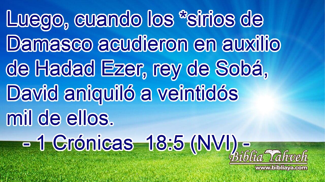  Luego, cuando los *sirios de Damasco acudieron en auxilio de Hadad Ezer, rey de Sobá, David aniquiló a veintidós mil de ellos. 