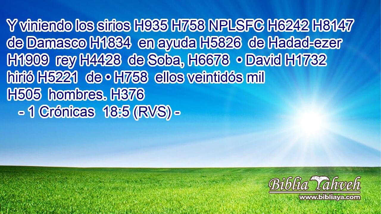 Y viniendo los sirios H935 H758 NPLSFC H6242 H8147 de Damasco H1834  en ayuda H5826  de Hadad-ezer H1909  rey H4428  de Soba, H6678  • David H1732  hirió H5221  de • H758  ellos veintidós mil H505  hombres. H376  