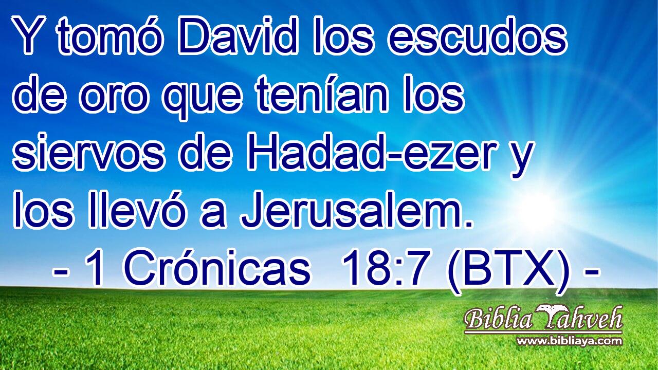 Y tomó David los escudos de oro que tenían los siervos de Hadad-ezer y los llevó a Jerusalem.