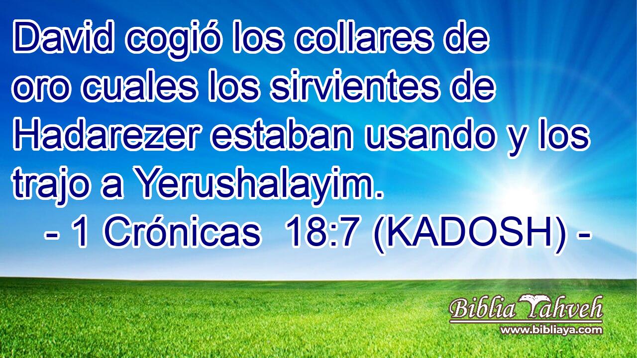  David cogió los collares de oro cuales los sirvientes de Hadarezer estaban usando y los trajo a Yerushalayim. 