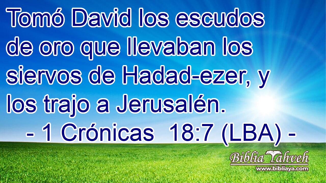 Tomó David los escudos de oro que llevaban los siervos de Hadad-ezer, y los trajo a Jerusalén.