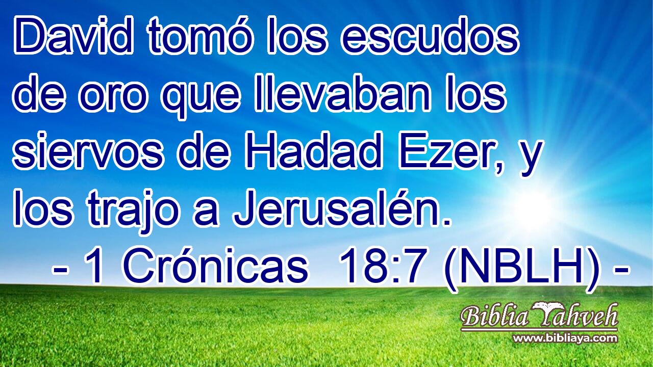  David tomó los escudos de oro que llevaban los siervos de Hadad Ezer, y los trajo a Jerusalén. 