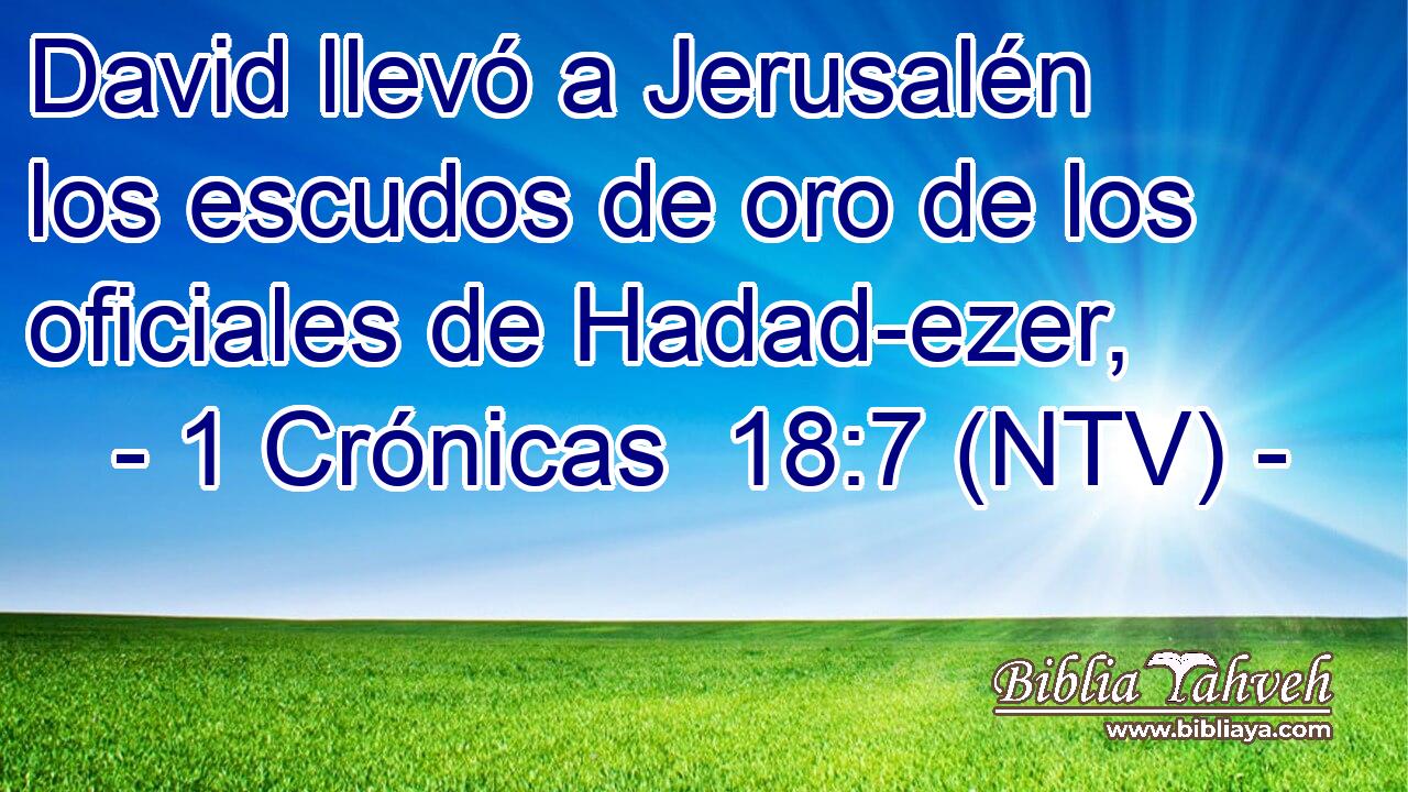David llevó a Jerusalén los escudos de oro de los oficiales de Hadad-ezer,