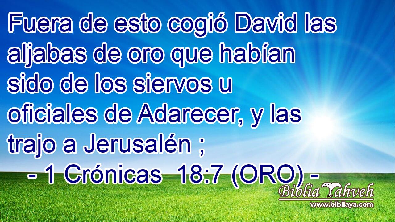  Fuera de esto cogió David las aljabas de oro que habían sido de los siervos u oficiales de Adarecer, y las trajo a Jerusalén ; 