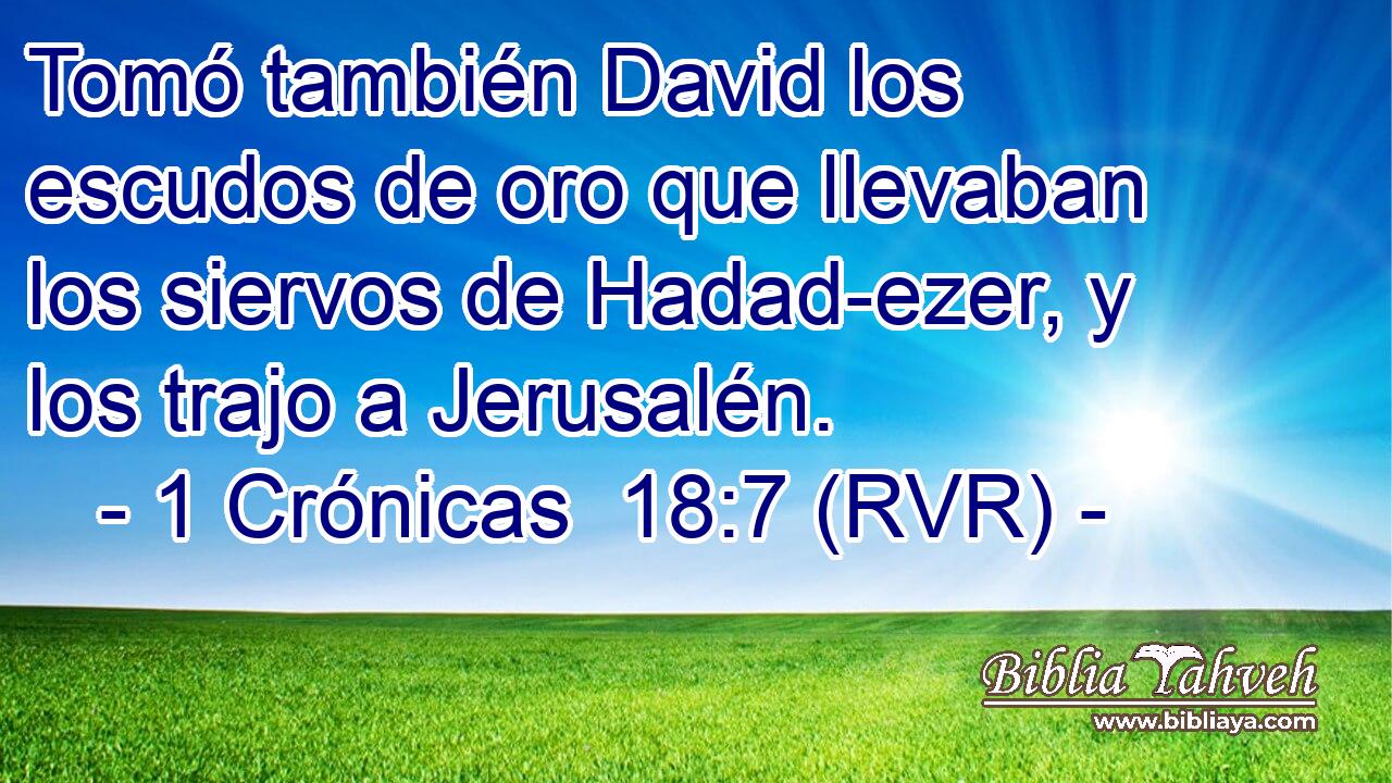 Tomó también David los escudos de oro que llevaban los siervos de Hadad-ezer, y los trajo a Jerusalén.