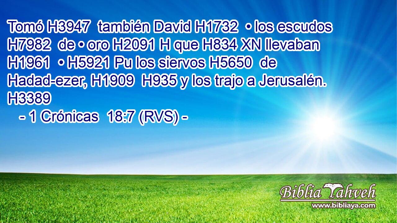 Tomó H3947  también David H1732  • los escudos H7982  de • oro H2091 H que H834 XN llevaban H1961  • H5921 Pu los siervos H5650  de Hadad-ezer, H1909  H935 y los trajo a Jerusalén. H3389  