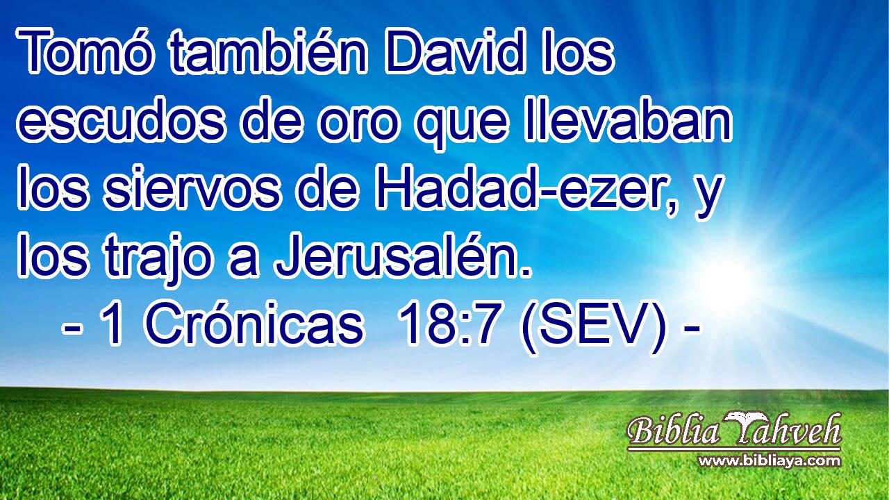 Tomó también David los escudos de oro que llevaban los siervos de Hadad-ezer, y los trajo a Jerusalén.