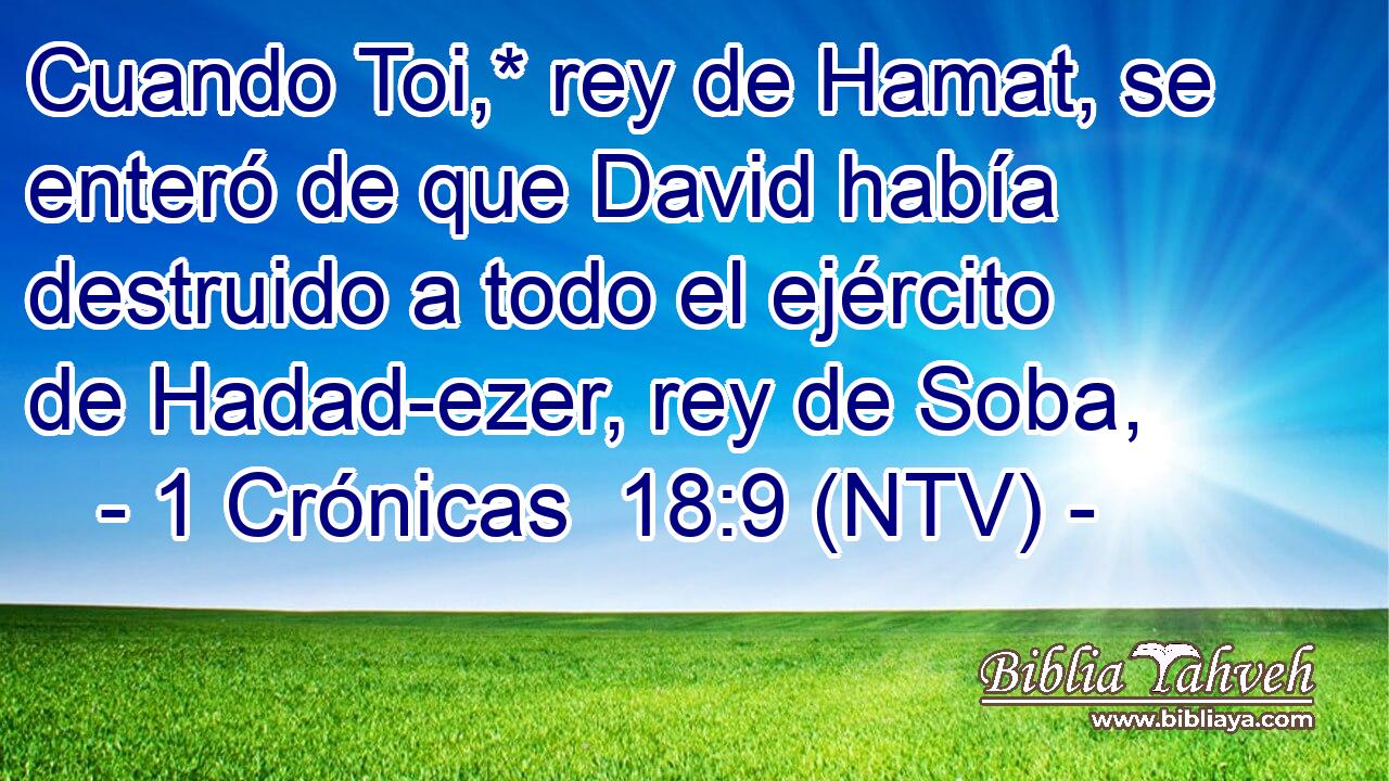 Cuando Toi,* rey de Hamat, se enteró de que David había destruido a todo el ejército de Hadad-ezer, rey de Soba,