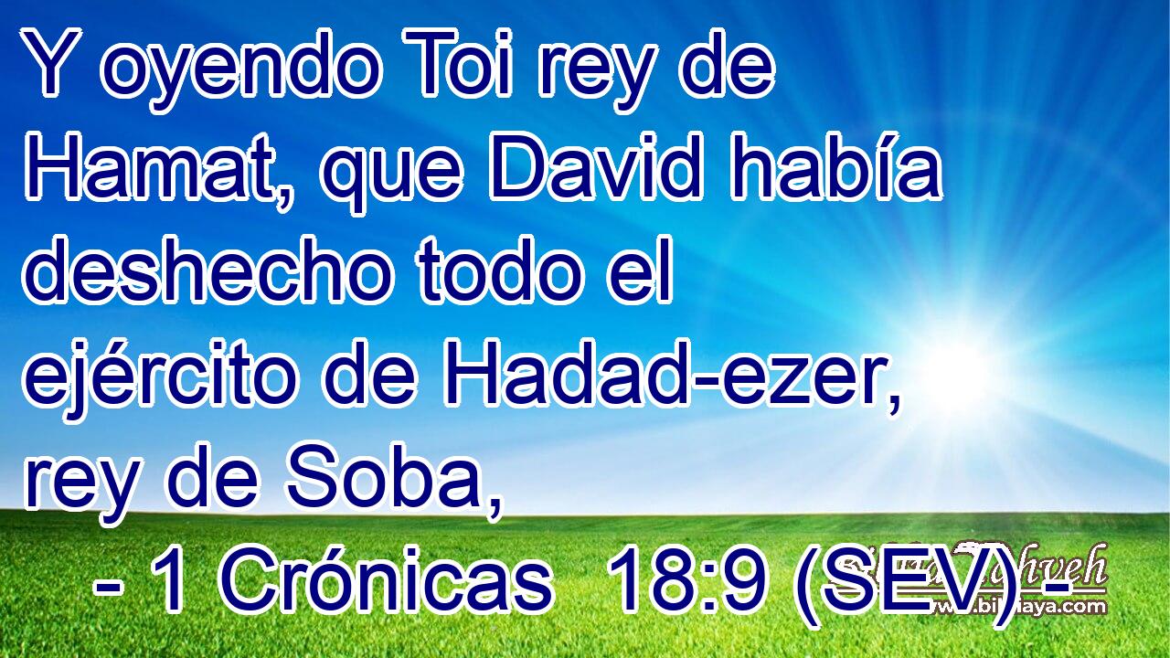 Y oyendo Toi rey de Hamat, que David había deshecho todo el ejército de Hadad-ezer, rey de Soba,