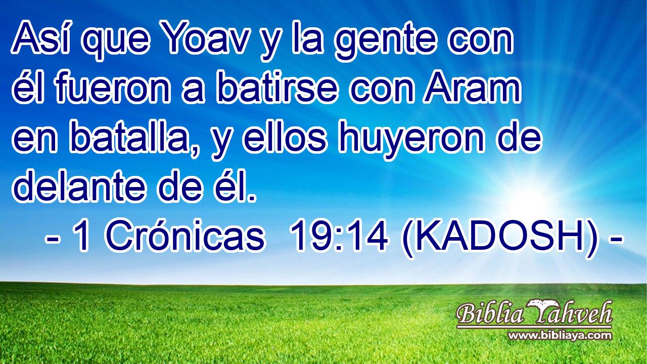  Así que Yoav y la gente con él fueron a batirse con Aram en batalla, y ellos huyeron de delante de él. 